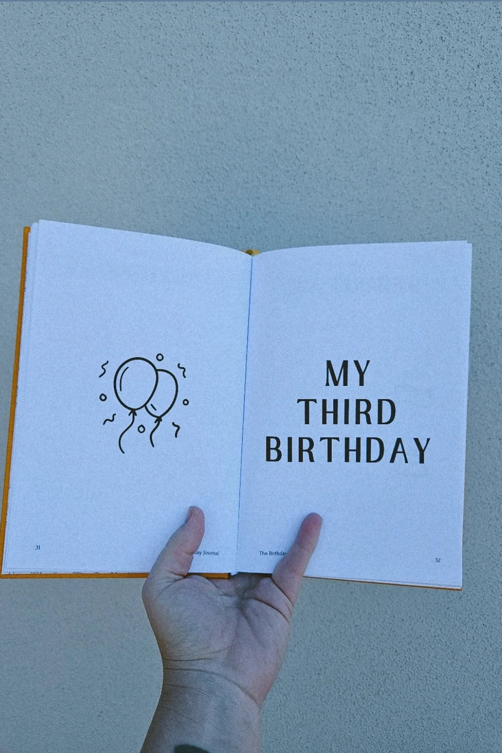 The Birthday Journal