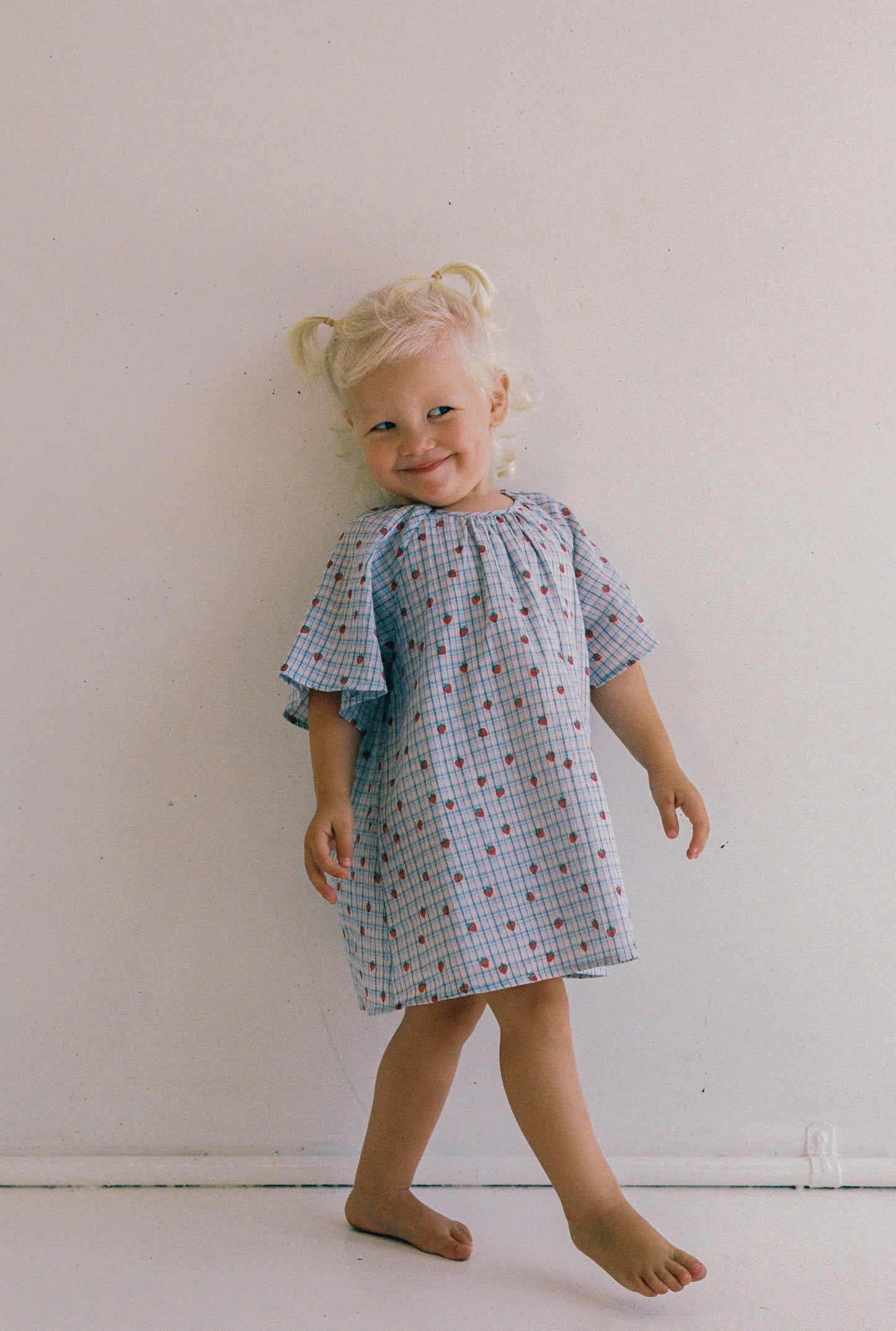 Penny Dress - Strawberry Check