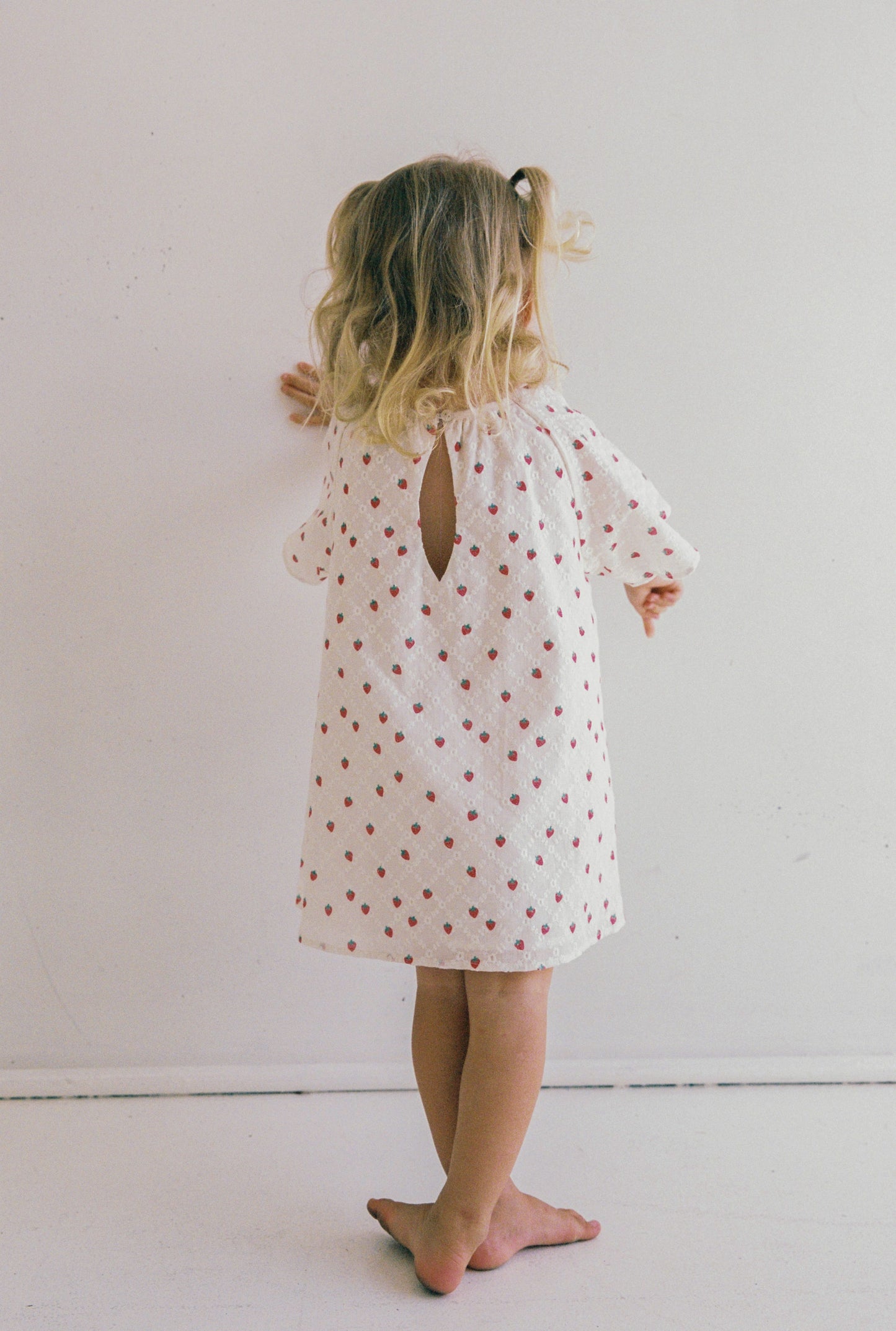 Penny Dress - Strawberry Broidery