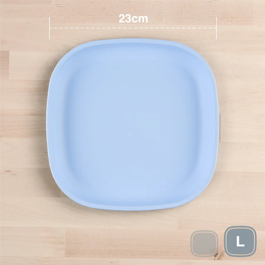 Large Flat Plate