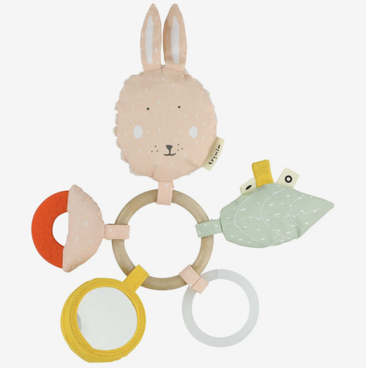 Activity Ring // Rabbit