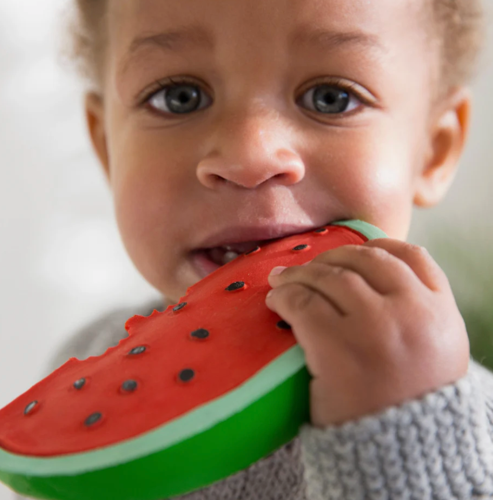 Wally the Watermelon